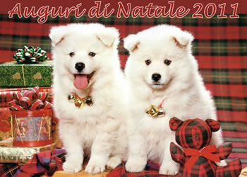 Immagini Auguri Natale 2011